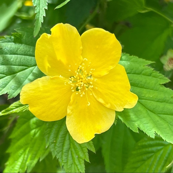 PLEASE, LIKE, FOLLOW & SHARE, SHARE, SHARE! THANK YOU!❤️❤️ - Picture 14 of 16